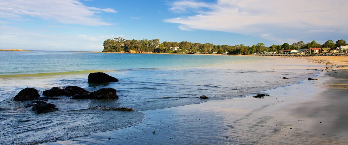 Caseys Beach showing a sandy beach