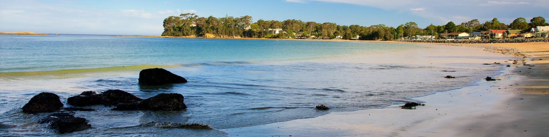 Caseys Beach showing a sandy beach