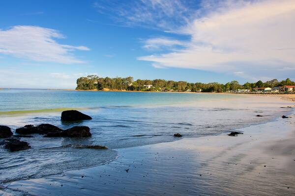 Caseys Beach showing a sandy beach