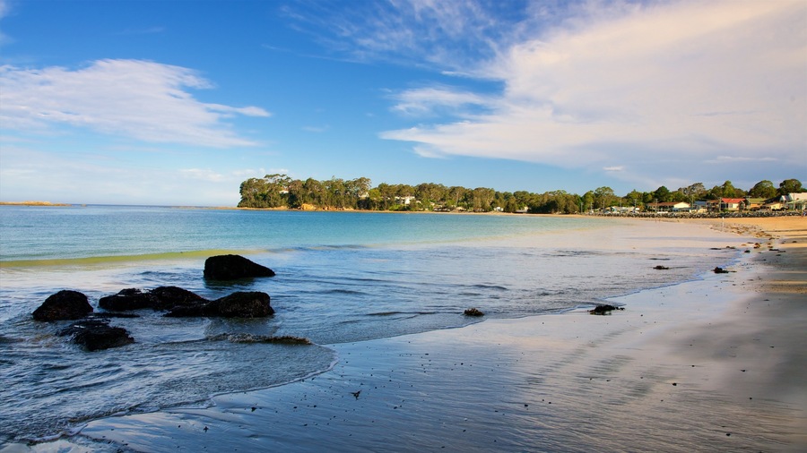 A beach with clear blue water, sandy shore, and a forested area in the background.