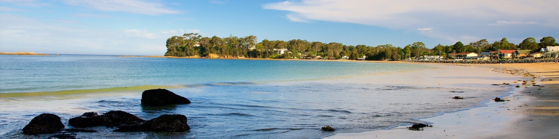 Caseys Beach showing a sandy beach