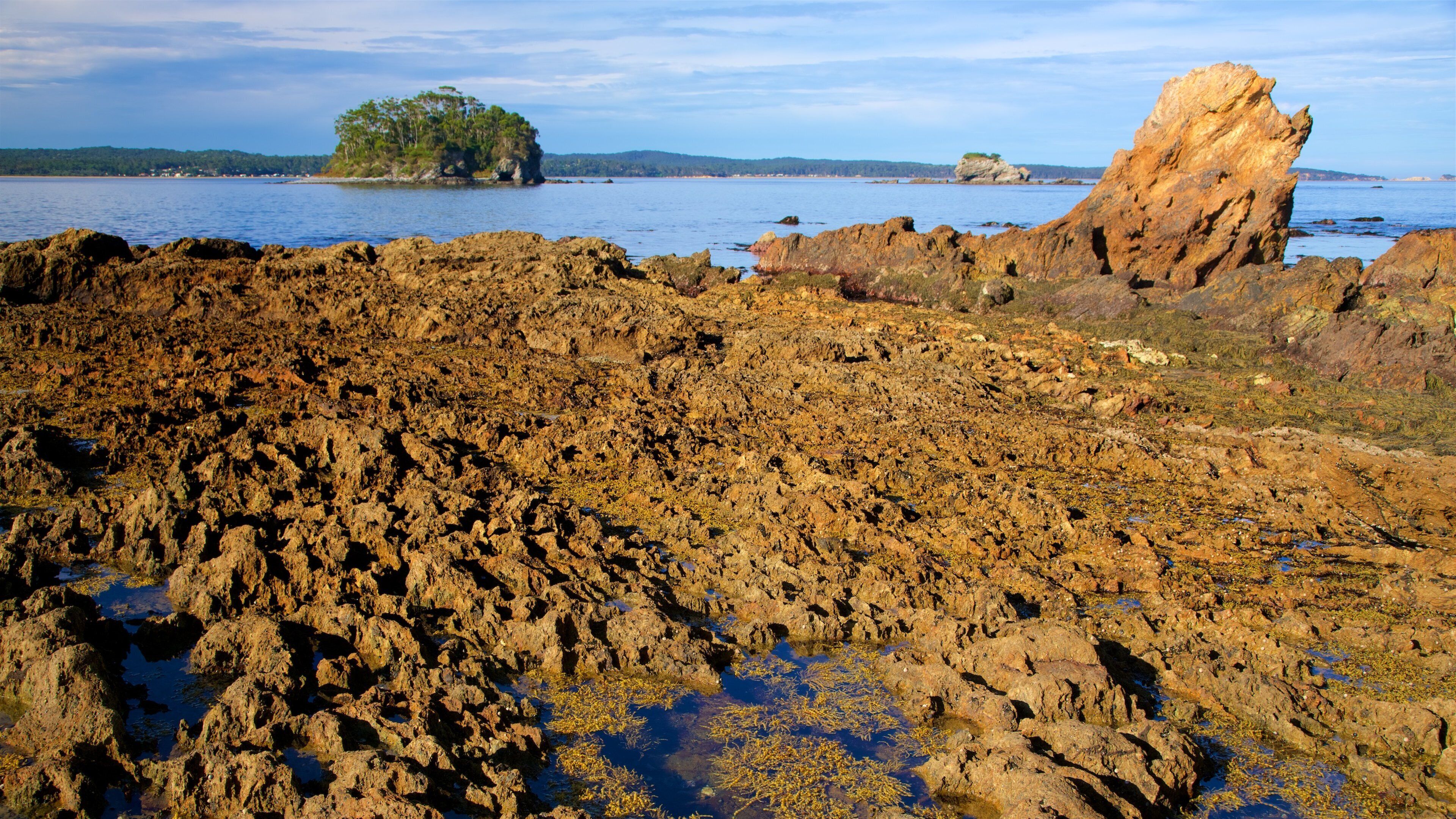 Caseys Beach which includes colorful reefs and rocky coastline