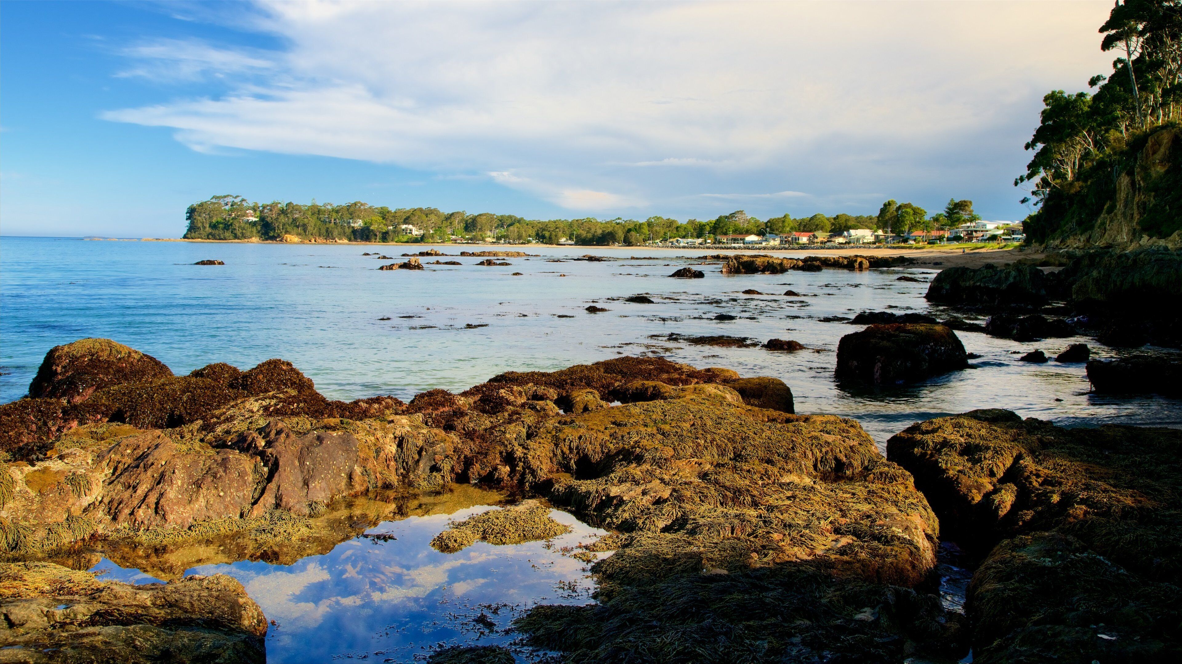 Caseys Beach featuring colorful reefs