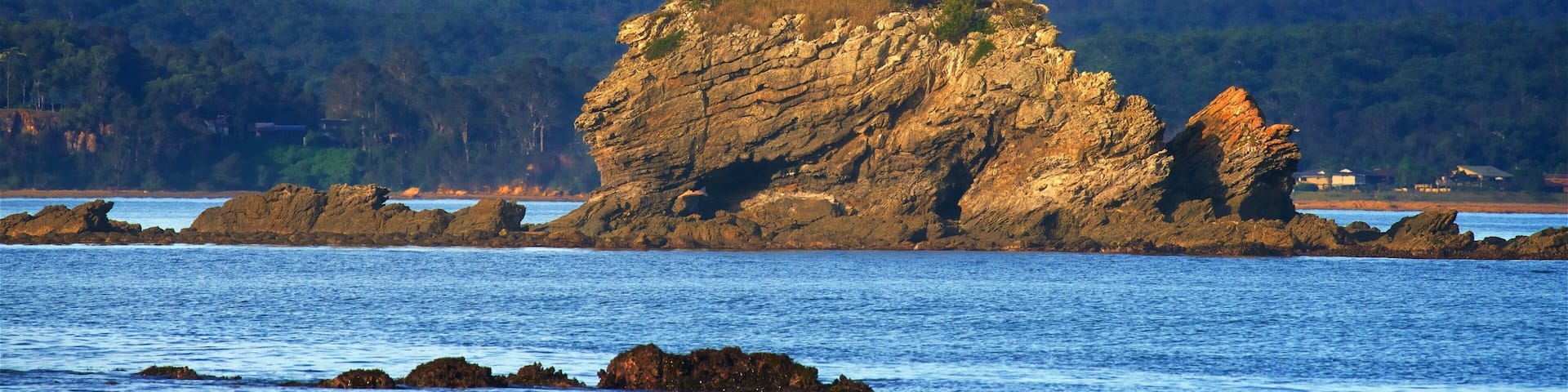 Caseys Beach which includes rocky coastline