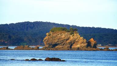 Caseys Beach which includes rocky coastline