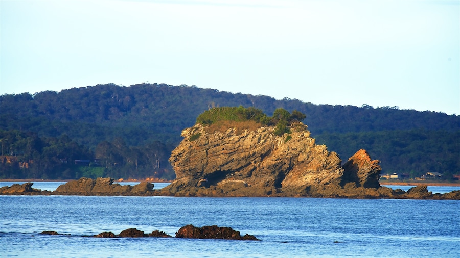 Caseys Beach which includes rocky coastline