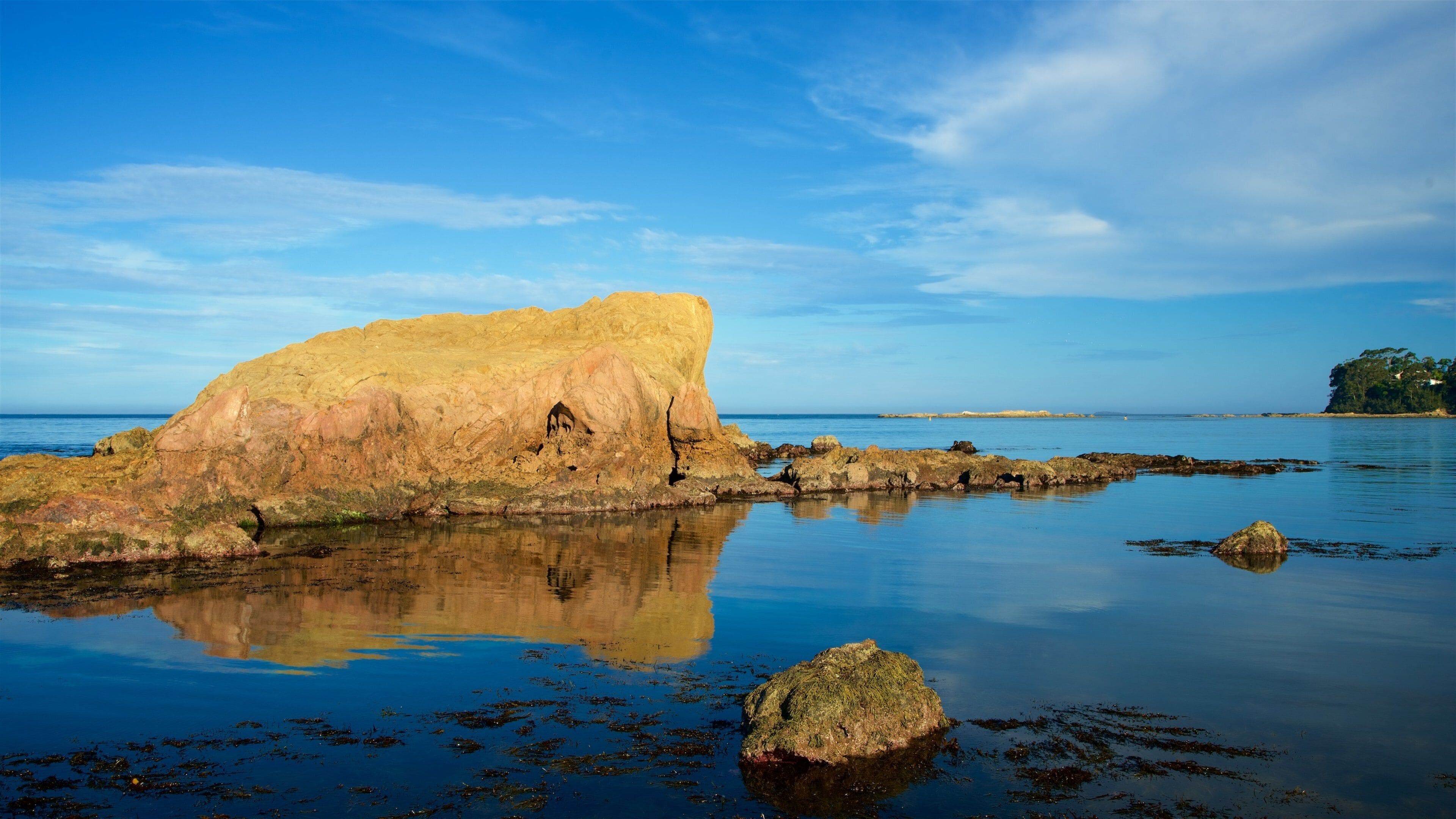 Caseys Beach showing rocky coastline and a beach