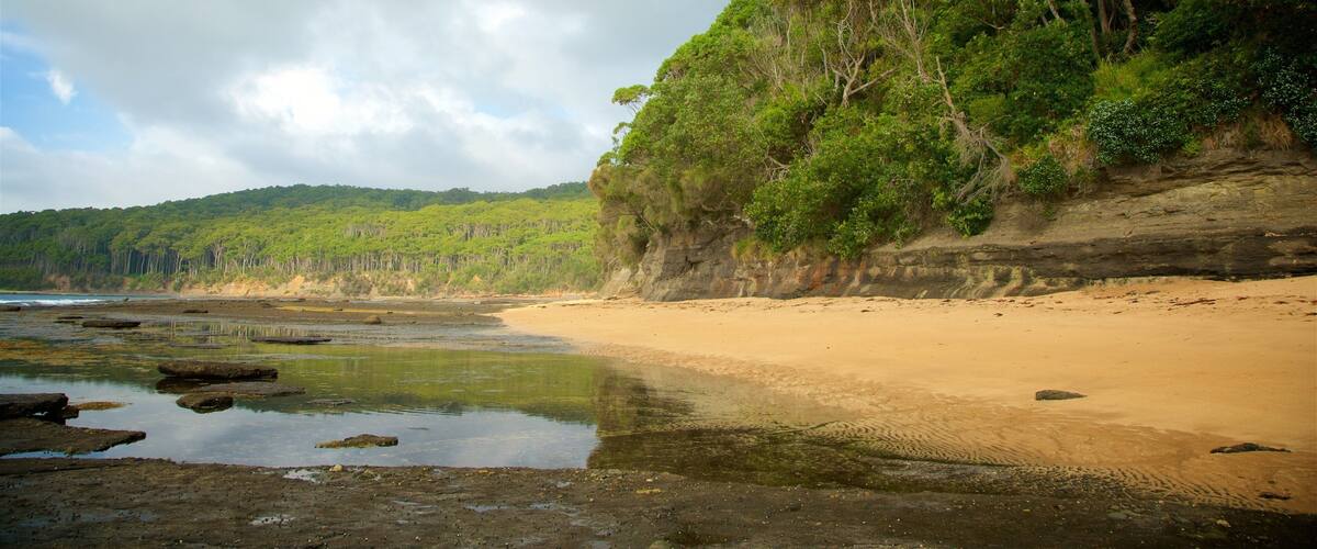 Pebbly Beach og byder på skovområder og en strand
