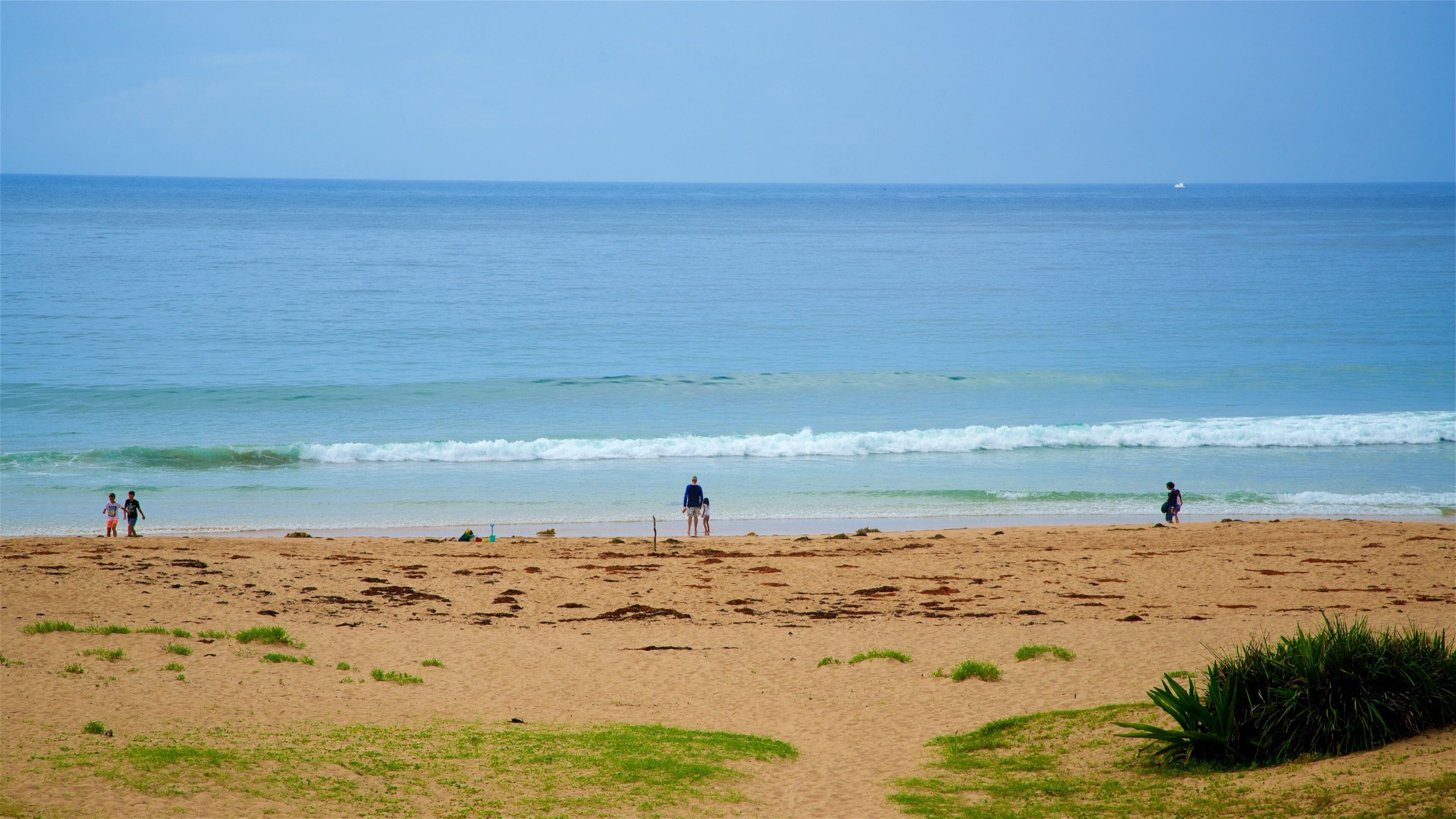 Pebbly Beach featuring a sandy beach and general coastal views as well as a small group of people