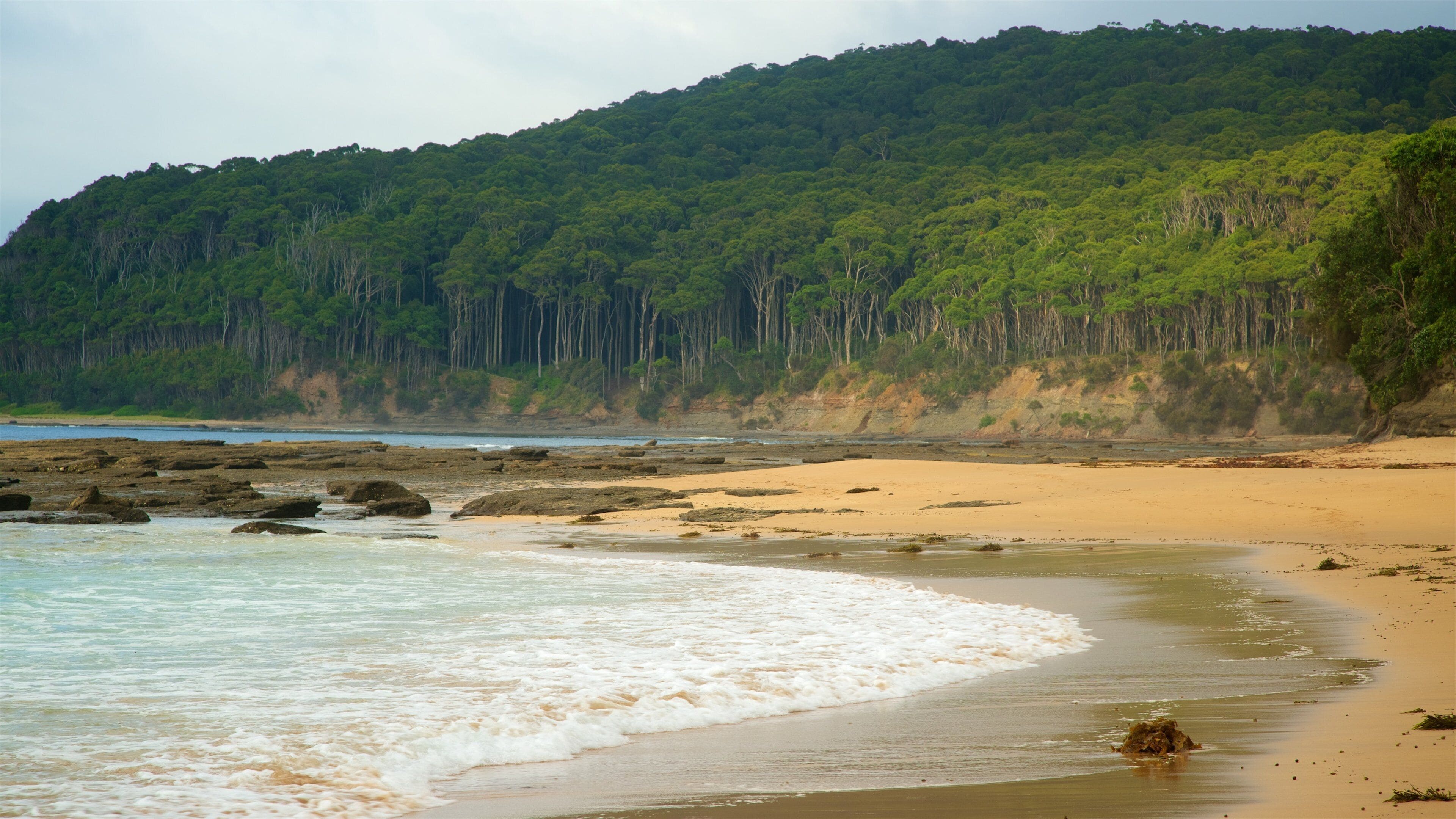 A beach with clear water, sandy shore, and a forested hill in the background.