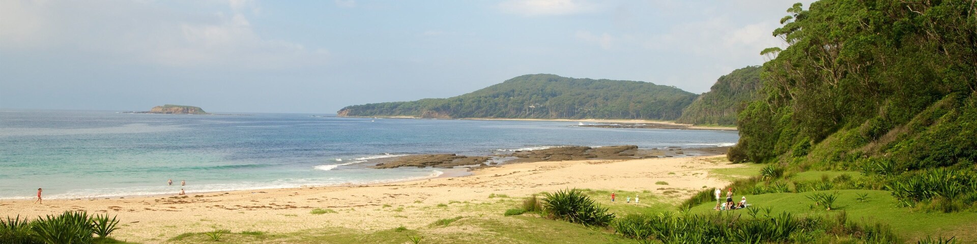 Pebbly Beach featuring general coastal views and a sandy beach