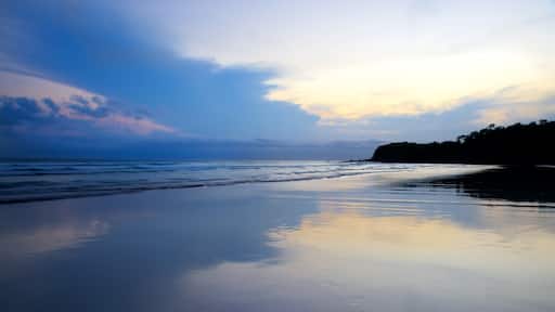 Pebbly Beach showing a beach, general coastal views and a sunset