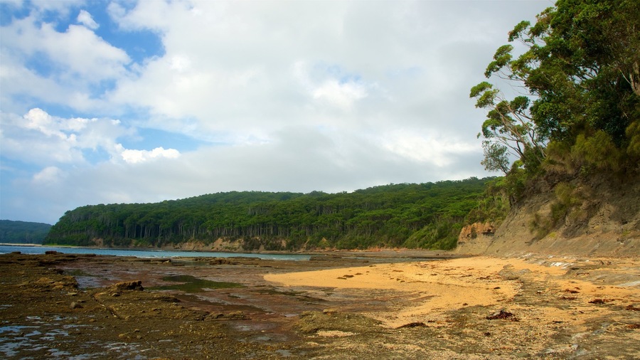 Pebbly Beach