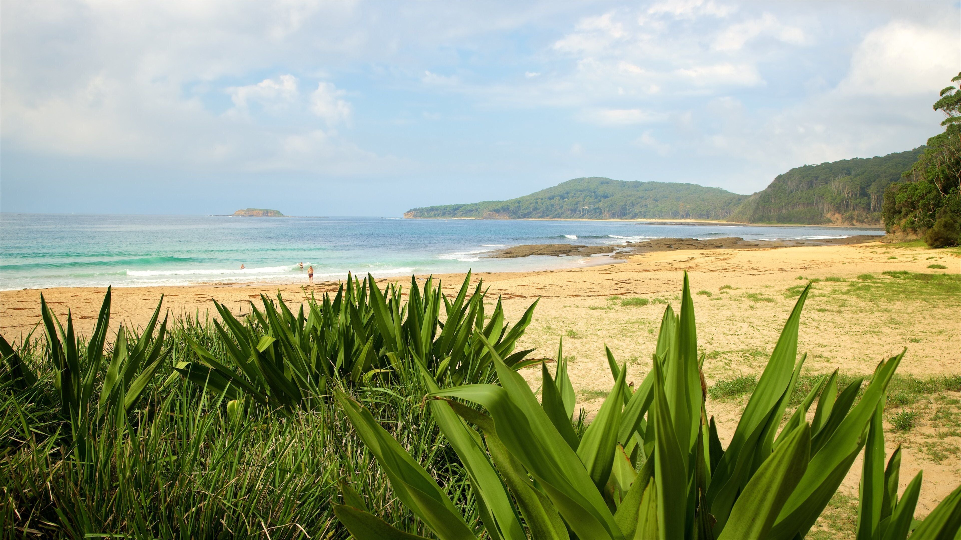 Playa Pebbly ofreciendo una playa y vista general a la costa