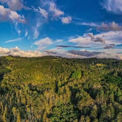 Parque Arví! So after you take the first metro-cable up, there is a second more touristy one (triple the cost) which takes you over the mountain ridge and quite a ways further to this beautiful park. Here is the view along the way!
#medellin #colombia #parque #arvi #park #jungle #scenery #nature #sky #travel #southamerica #metrocable #gondola #wanderlust