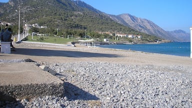 A rocky beach with a mountain in the background.