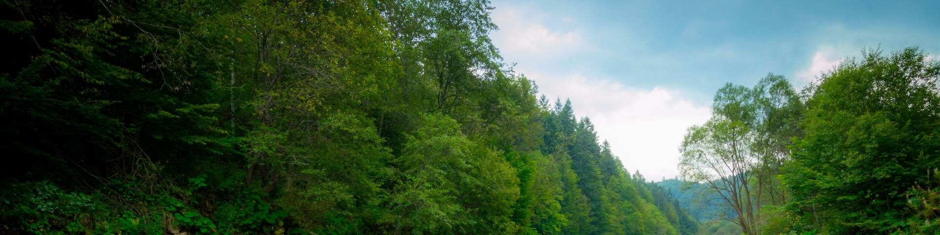 Mountain swift river Bieszczady, Wetilna river in Reserve Sine Wiry. Nature conservation