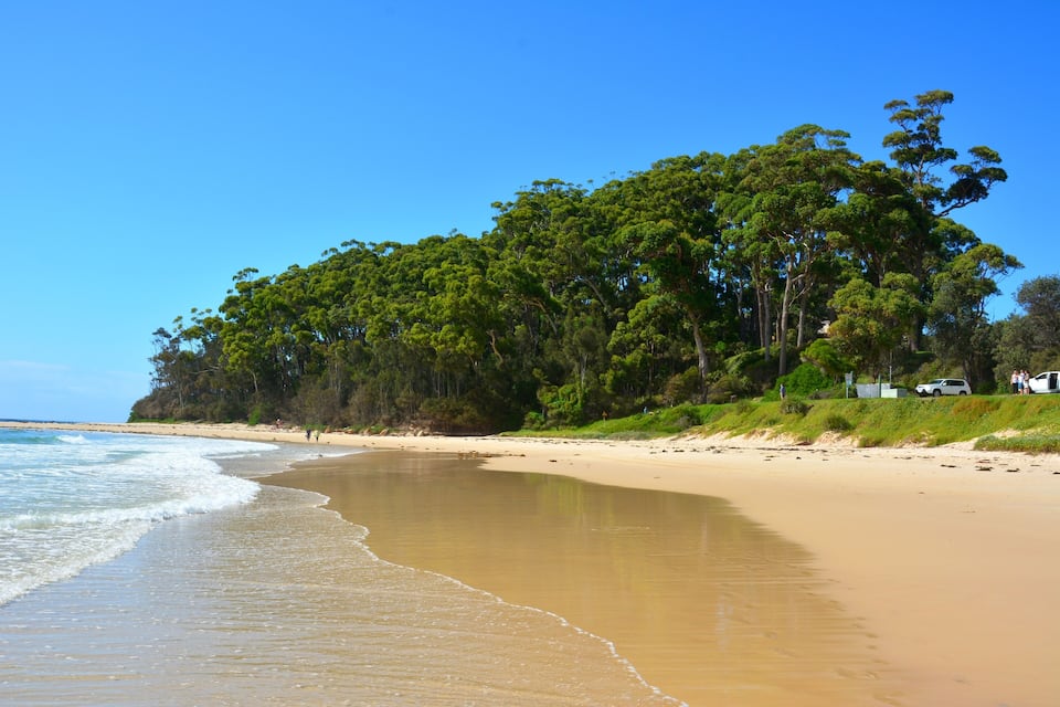 Ein sandiger Strand mit sanften Wellen, dichtem Grün und blauem Himmel.