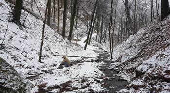 15 minutes from the city centre :)
It's not snow everywhere, but frost falling from frost covered trees...