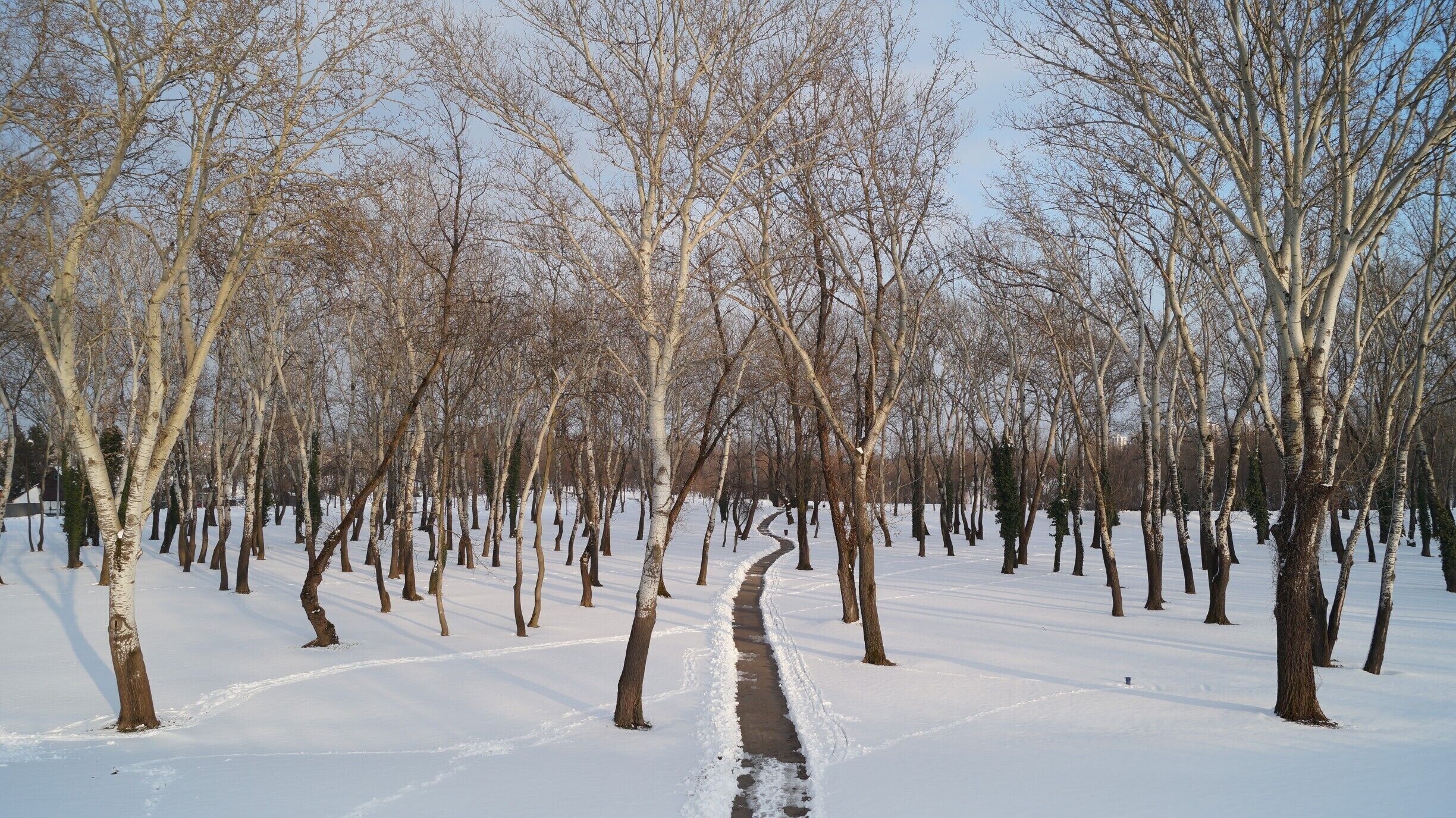 Bundek is very beautiful park in Zagreb. During the summer people go there to take the swim in the lake. 
And during the winter it is great place to take the walk through the woods.
#snow