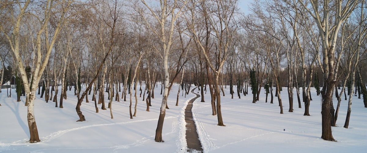 Bundek is very beautiful park in Zagreb. During the summer people go there to take the swim in the lake. 
And during the winter it is great place to take the walk through the woods.
#snow