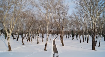 Bundek is very beautiful park in Zagreb. During the summer people go there to take the swim in the lake.
And during the winter it is great place to take the walk through the woods.
#snow