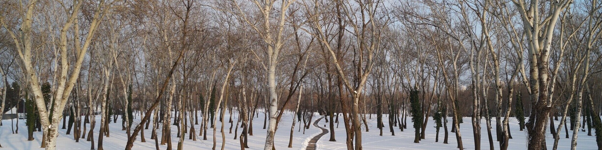 Bundek is very beautiful park in Zagreb. During the summer people go there to take the swim in the lake. 
And during the winter it is great place to take the walk through the woods.
#snow