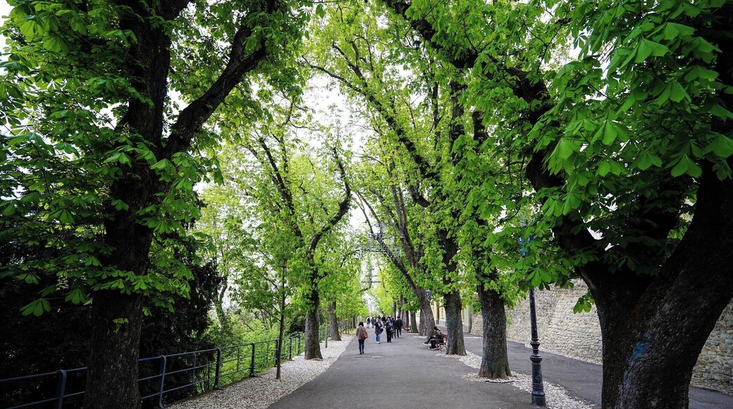 A serene walk where you can enjoy the nature while you stroll between the Upper Town and Lower Town. #Zagreb #Croatia