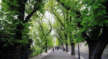A serene walk where you can enjoy the nature while you stroll between the Upper Town and Lower Town. #Zagreb #Croatia