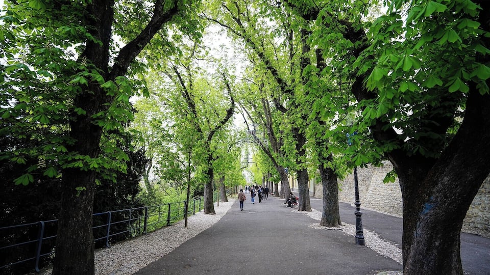 A serene walk where you can enjoy the nature while you stroll between the Upper Town and Lower Town. #Zagreb #Croatia