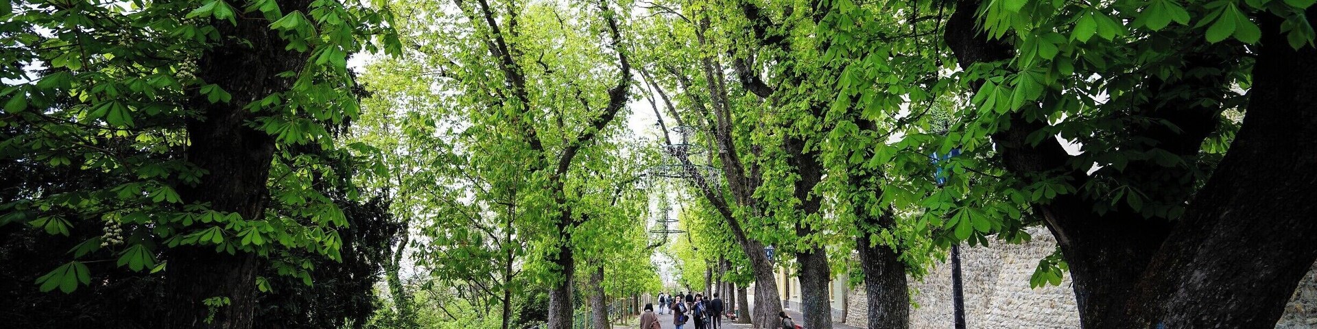 A serene walk where you can enjoy the nature while you stroll between the Upper Town and Lower Town. #Zagreb #Croatia