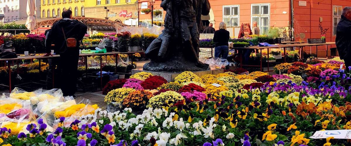 Near the Sunday market