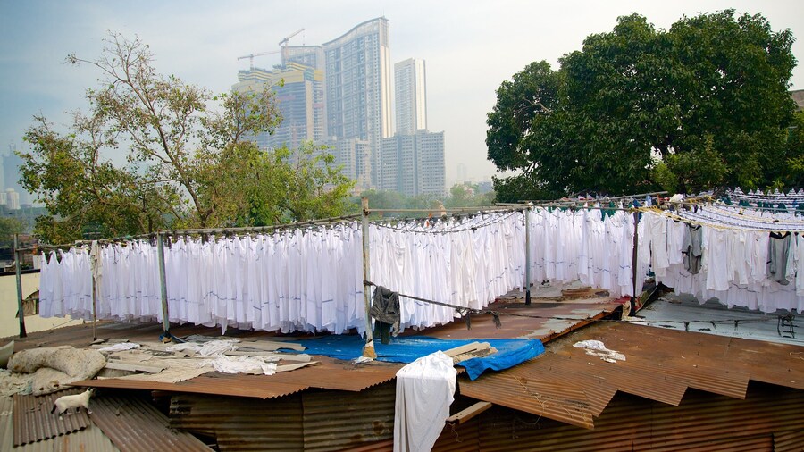 Dhobi Ghat
