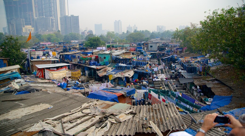 多比加特 呈现出 城市