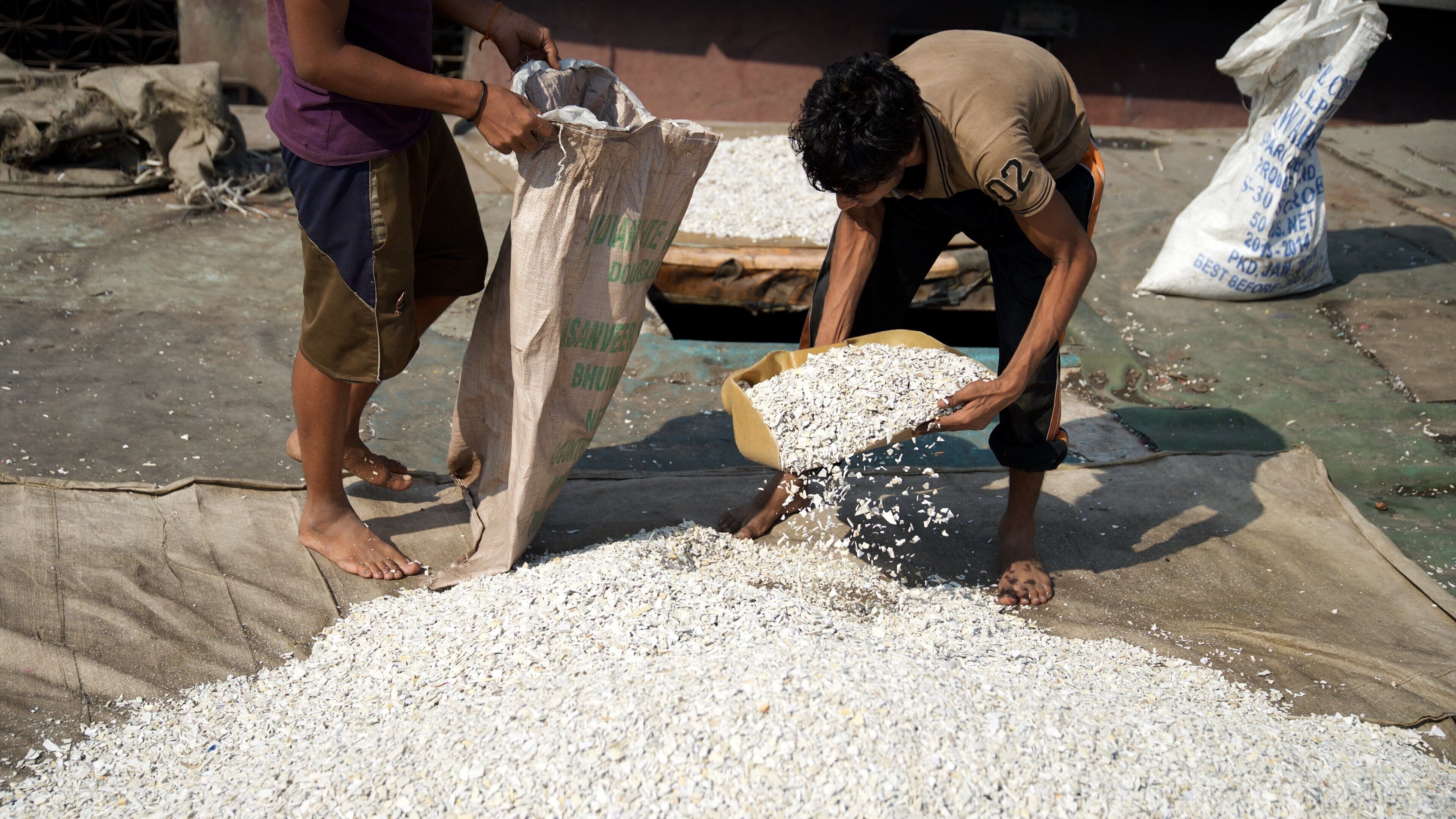 Dharavi ofreciendo comida