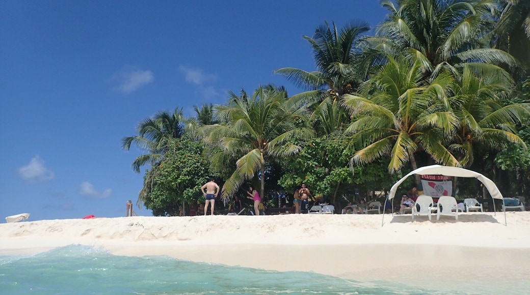 A piece of paradise in the Caribbean - Rocky Caye Beach is a short boat ride from San Andres in Colombia. Walk along the white sandy beaches or jump into the clear blue sea! #LifeAtExpedia
