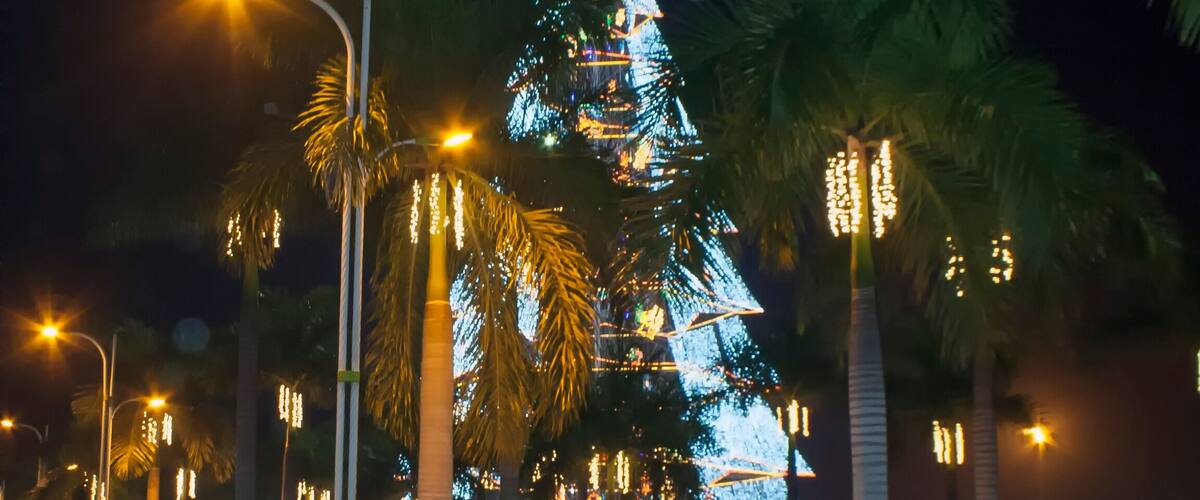 Park in Tagum City with Giant Christmas Tree