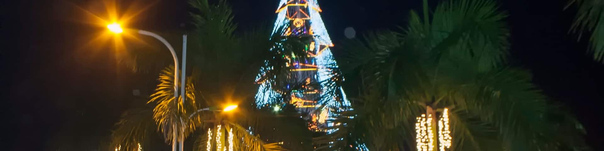 Park in Tagum City with Giant Christmas Tree
