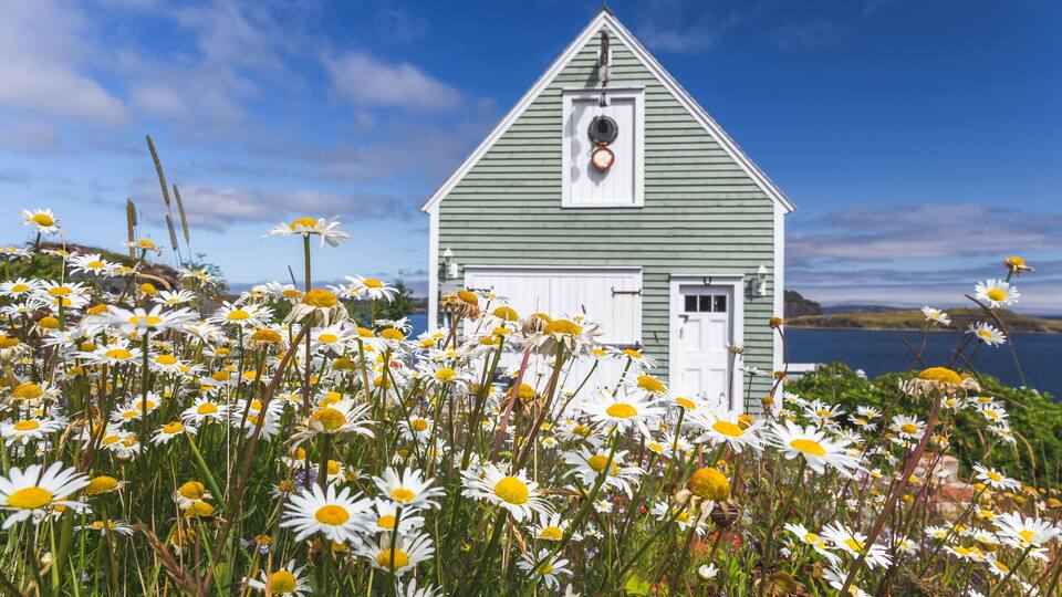 Traditional home with old varrow along the rugged shores of Newfoundland, Canada.
