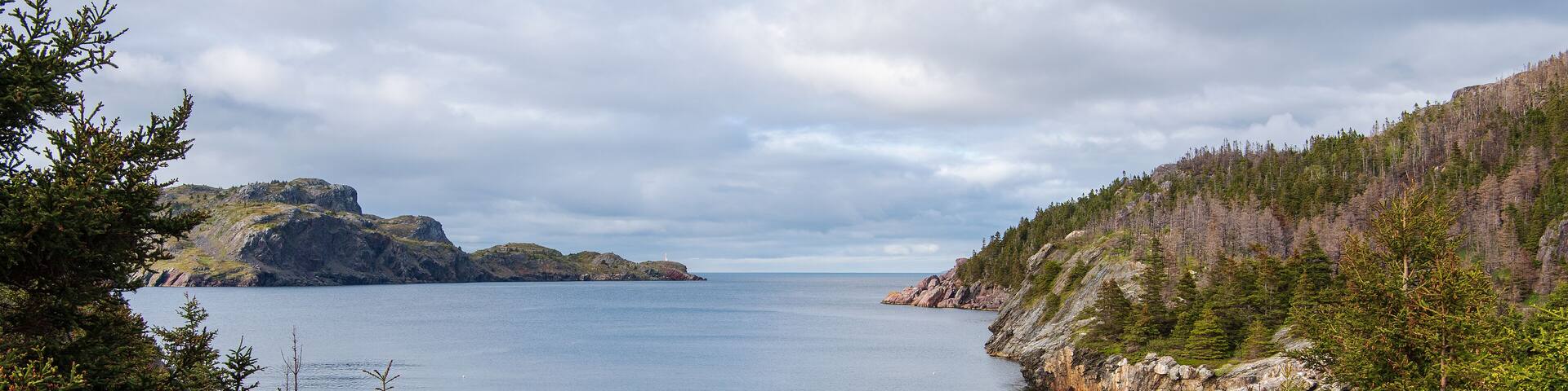 A picturesque view unfolds from South Side Road, overlooking Brigus Bay, where the Brigus lighthouse stands as a distant sentinel.