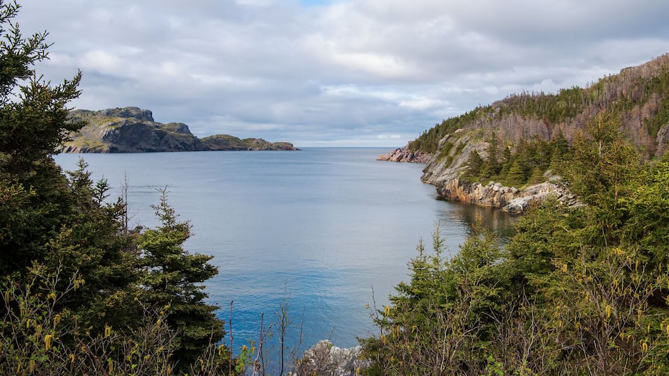 A picturesque view unfolds from South Side Road, overlooking Brigus Bay, where the Brigus lighthouse stands as a distant sentinel.