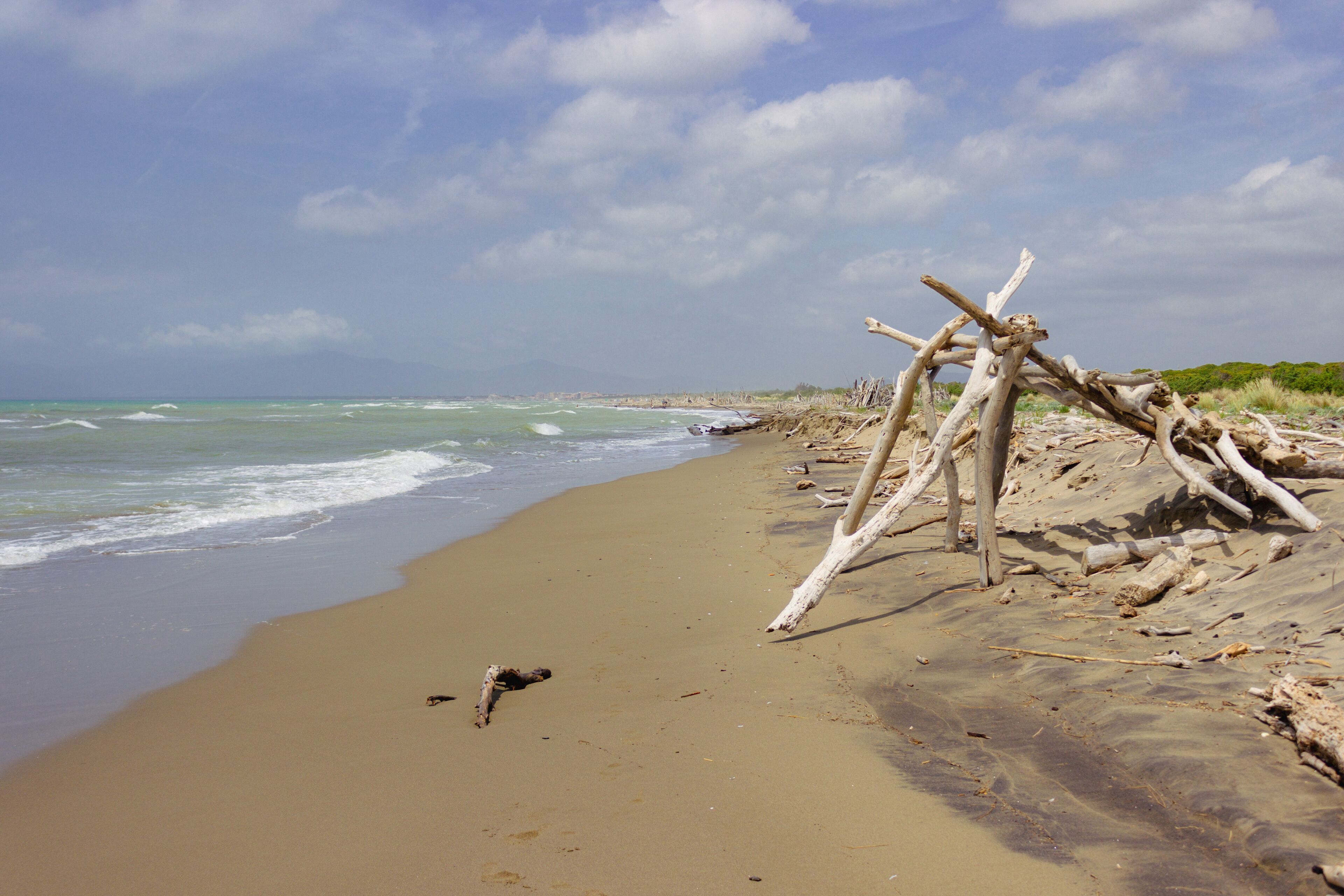 A sandy beach with driftwood and waves.
