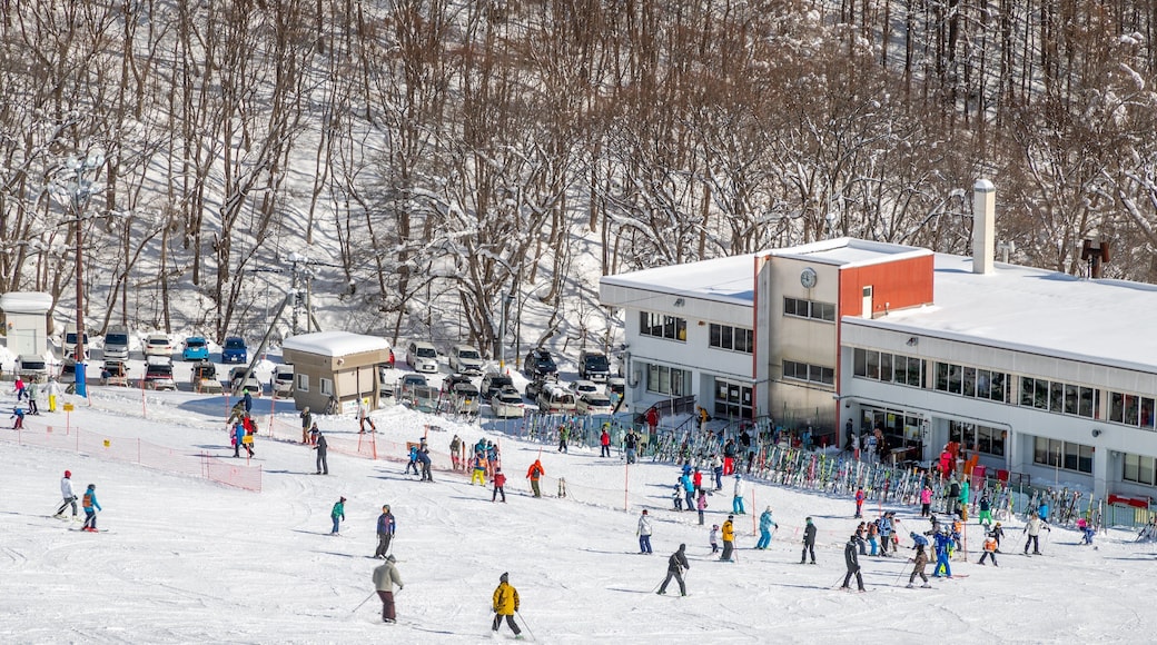 Mount Moiwa showing landscape views, snow and snow skiing