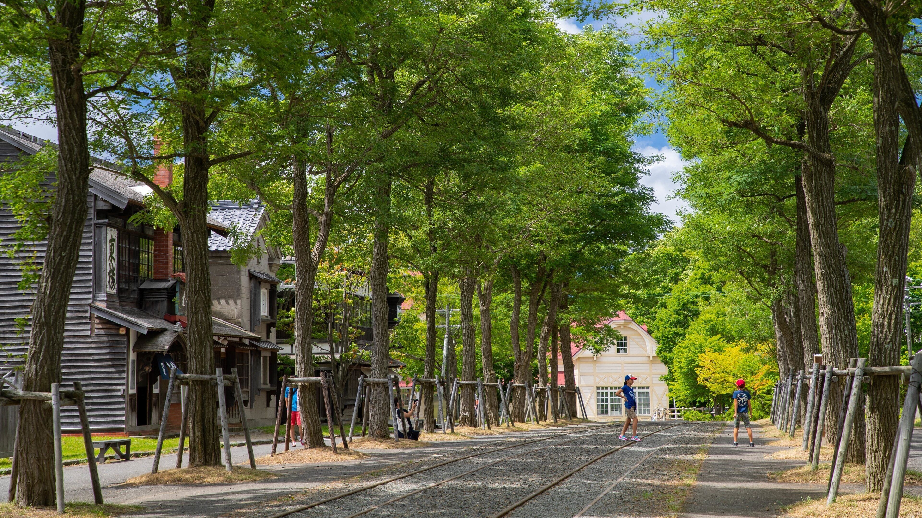 Historical Village of Hokkaido