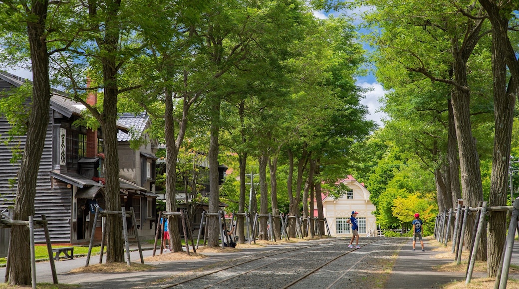 Historical Village of Hokkaido