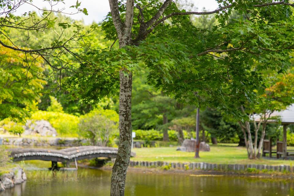 Ein friedlicher Garten mit Teich, Steinbrücke und üppigem Grün.