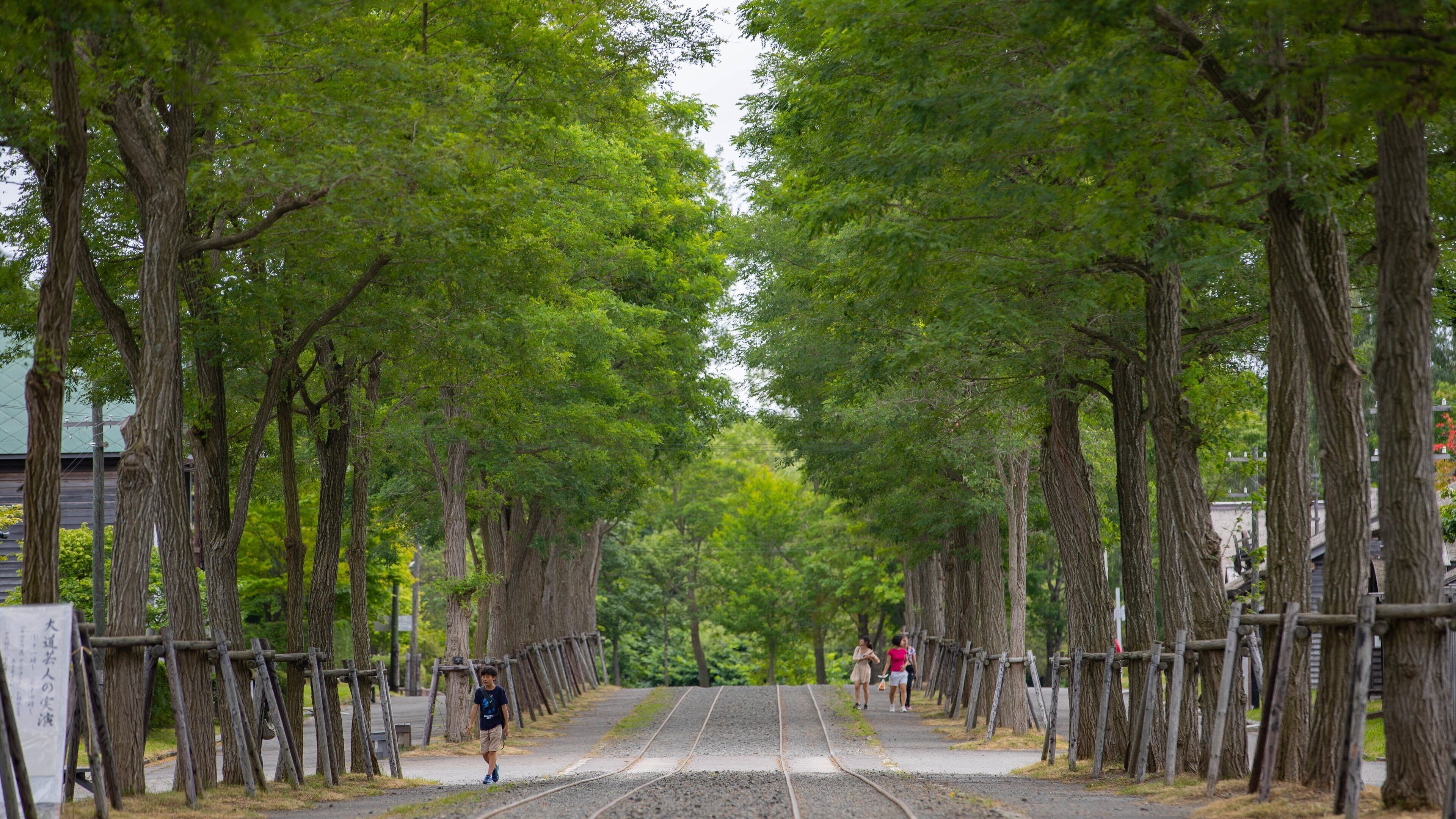 Historical Village of Hokkaido