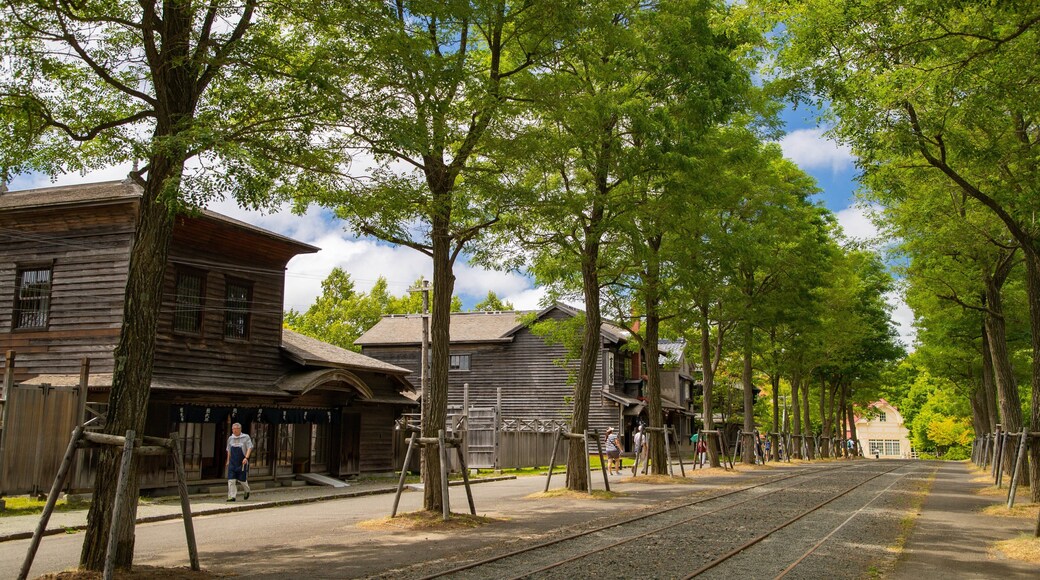 Historical Village of Hokkaido which includes heritage elements and a small town or village