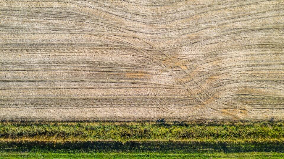 A field with distinct furrows and a green crop at the bottom.
