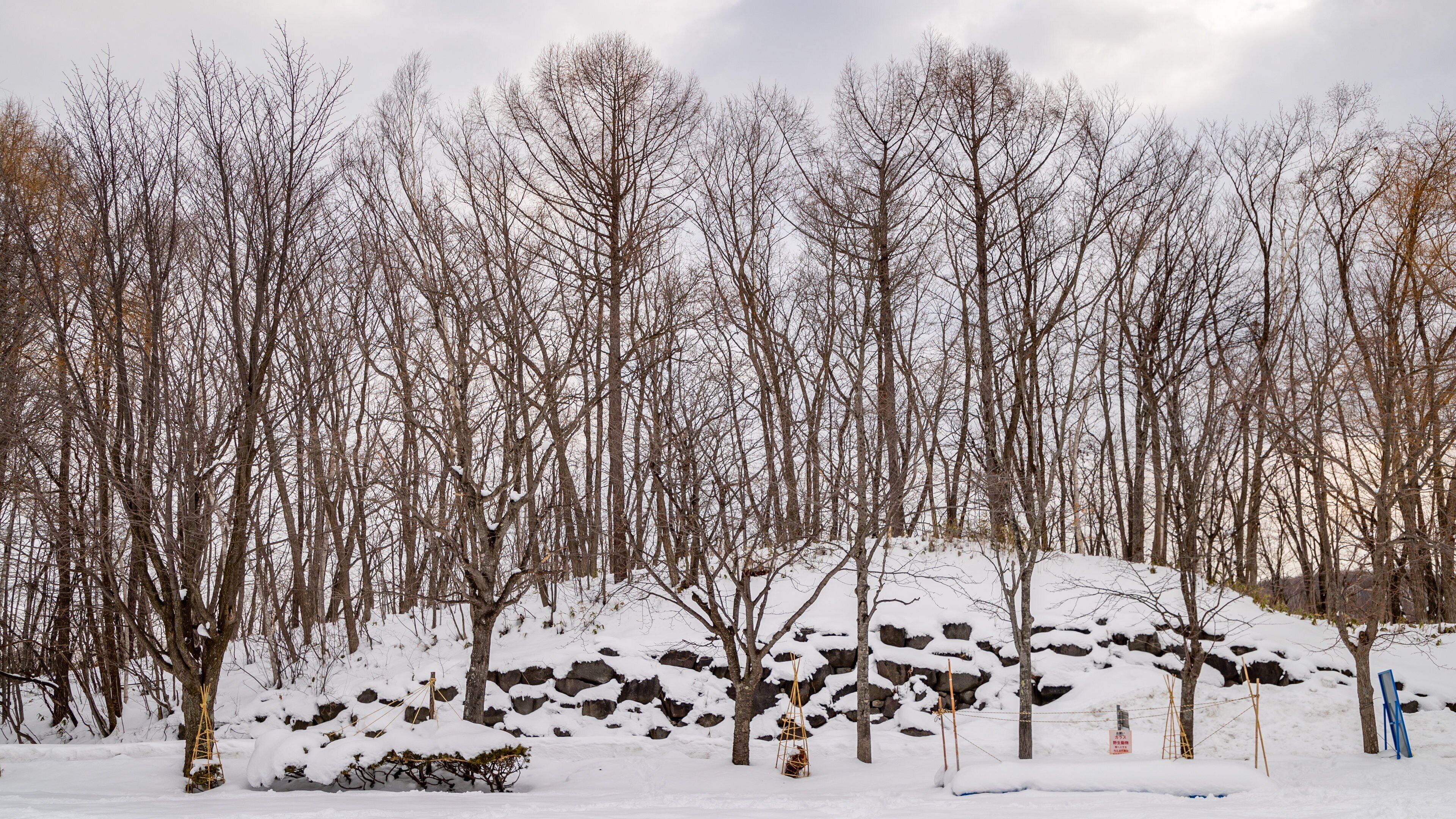 Sapporo Art Park showing snow
